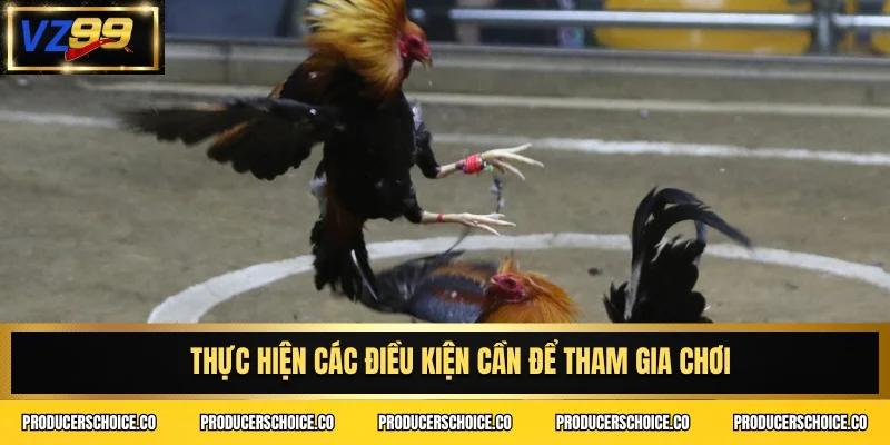 Thực hiện các điều kiện cần để tham gia chơi